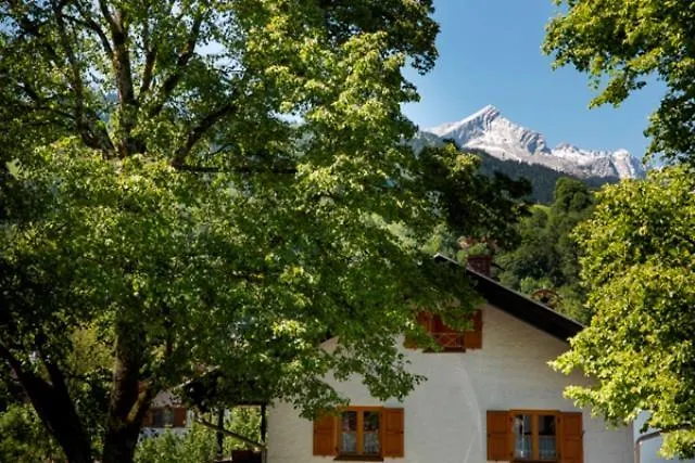 Lejlighed Alpennest *